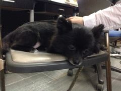 iphone_upload_pic-A+摄影
