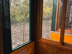 -合肥滨湖国家森林公园