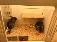 -龙猫仔乐园(惠福东路店)