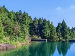 -玉苍山国家森林公园