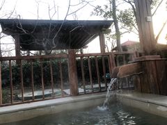 -思念果岭悦温泉