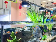 -青石桥花鸟鱼虫市场(叠翠城店)