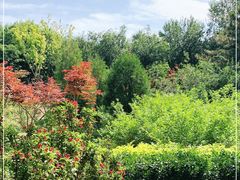 -大兴滨河森林公园