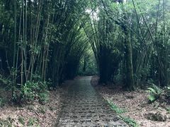-广州市石门国家森林公园