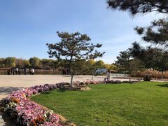 -燕郊植物园