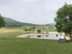 -大连铭湖国际观光牧场
