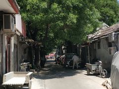 -赵府街副食店