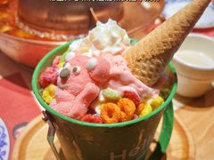 冰淇淋雪冰桶-东镇老火锅(长春路首店)