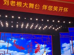 -刘老根大舞台-长春旗舰店