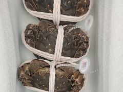 -阳澄湖大闸蟹·琼灵阁牌品牌连锁(吴中总店)