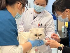 -申普宠物医院·眼科·心内科·影像科(普陀分院)