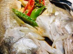 明火鲈鱼-绿茶餐厅(成都大悦城店)