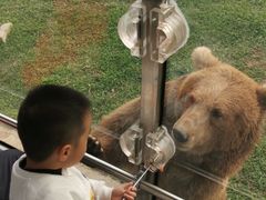 -西安秦岭野生动物园