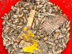 -厦门五通客运码头