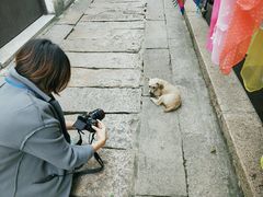 -张家港凤凰山景区恬庄古街