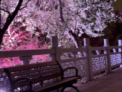 -龟山风景区-龟山电视塔