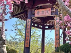 -横山寺
