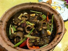 啫啫黄鳝-天宝食坊·啫啫煲大排档(西华路店)