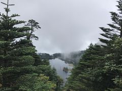 -老字号黄妹火盆烧烤