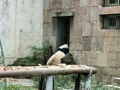 -成都动物园