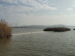 -漩门湾国家湿地公园