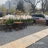 咖啡月卡，你值得拥有哦！[调皮][调皮][调皮]