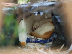 -苏州河梦清园环保主题公园