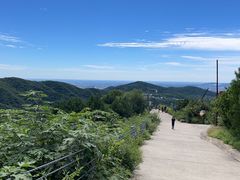 -北京西山国家森林公园