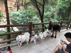 -火炉山森林公园
