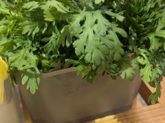 -野·大山里野生菌石锅土鸡(益田假日店)