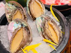 -牛New寿喜烧(新六百店)