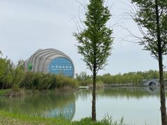 -泗洪洪泽湖湿地景区