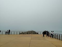 -东疆建设开发纪念公园