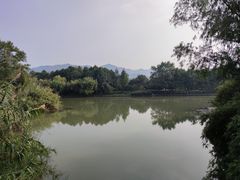 -西溪国家湿地公园