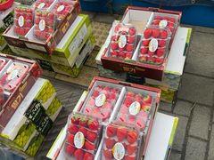 -新世界百货(明洞总店)