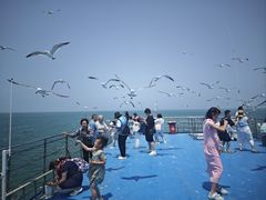 -海驴岛(荣成市)