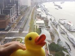 -上海外滩英迪格酒店