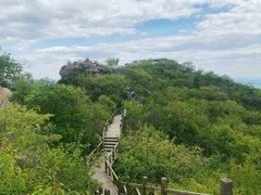 -大岭沟猕猴桃谷风景区