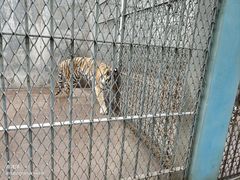 -西安秦岭野生动物园