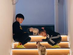 -琪喵猫屋·撸猫猫咖·猫舍