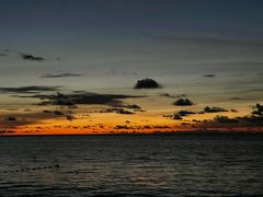 -真浪花园海鲜餐馆