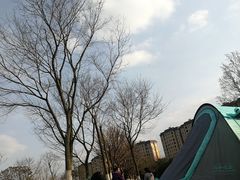 -两河城市森林公园