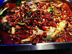 -鱼非鱼(徐家汇店)