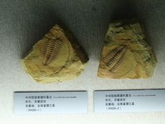 -云南省博物馆