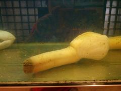 -澳门豆捞(裕华东路店)