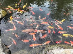 -青岛鑫江温德姆酒店
