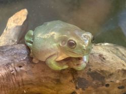 -Zoolung Zoolung动物主题公园(海信广场店)