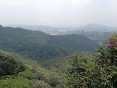-广州市白云山风景名胜区