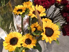 -植物学家的女儿(北马道巷店)