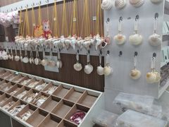 -青岛贝壳博物馆